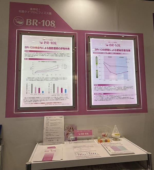 BR-108 研究展示 1