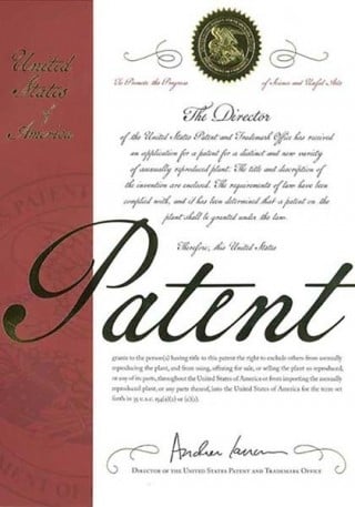US PLANT PATENT