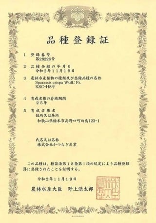 特許証 特許第5893772号