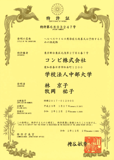 特許第6803247号