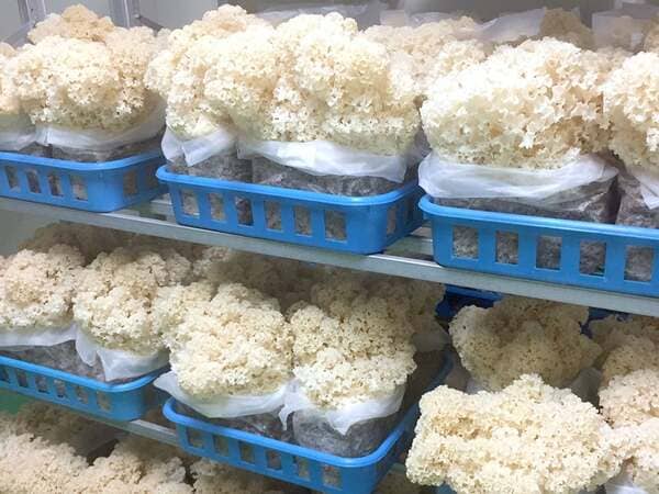 原材料・倉庫